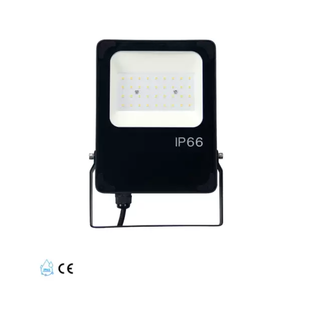 EV-FL20W