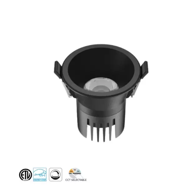 LI-LP-3B1037, 12W, 5CCT, dimm, BLK Round