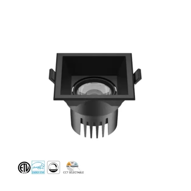LI-LP-3BF1037, 12W, 5CCT, dimm, BLK Square