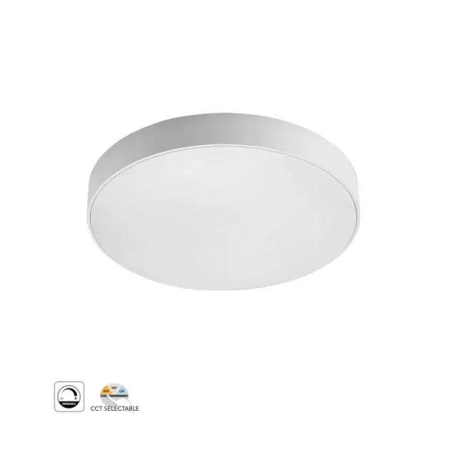 OR-BY-RSD-24W-WHT